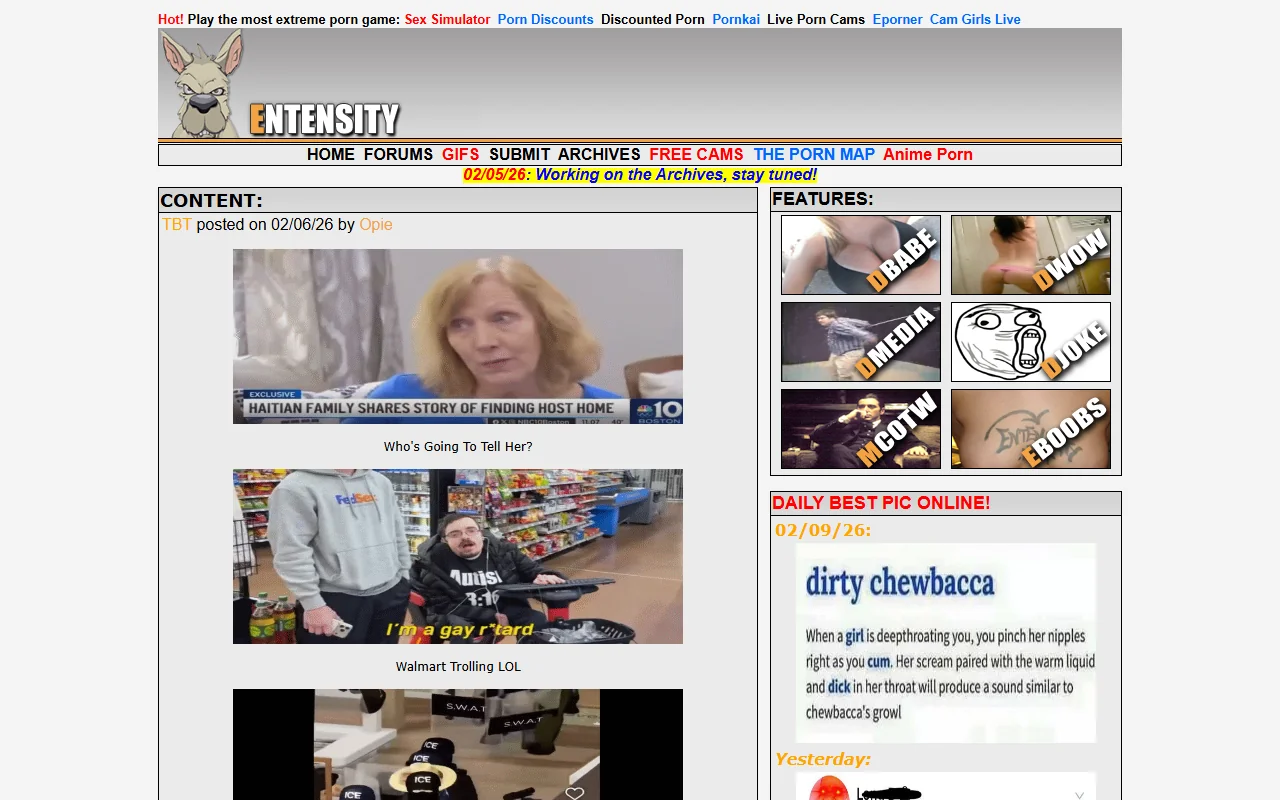 Screenshot of Entensity